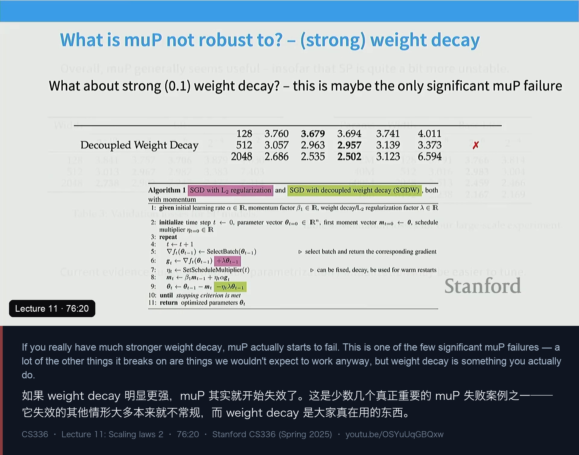 图 17｜muP 的失效场景：强 weight decay——“可能唯一真正重要的失败案例”